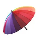 Umbrella & Rain Gear