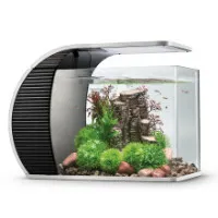 Aquarium/Fish Tank