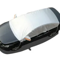 Paint Protection Film