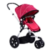 Baby Strollers and Beds