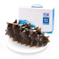 Sea Cucumber