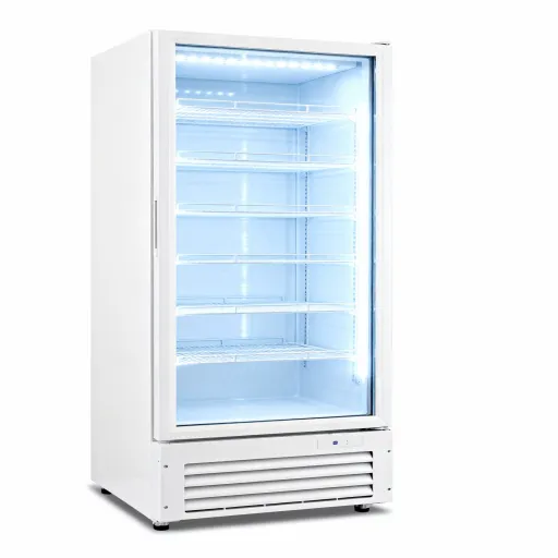 Single Temperature Freezer