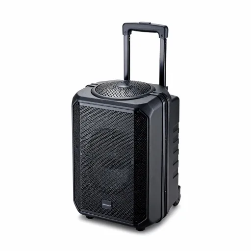 Portable/Karaoke Speaker