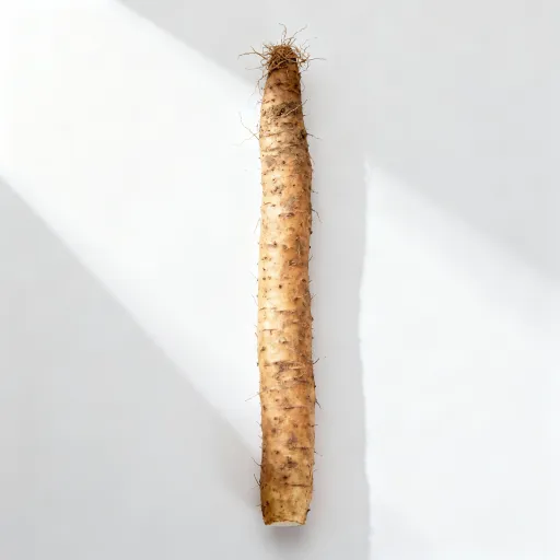Chinese Yam