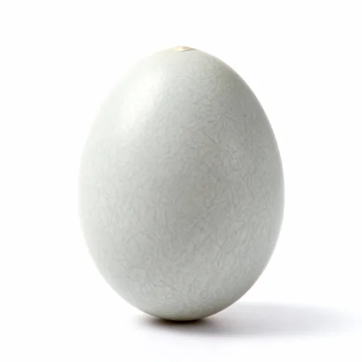 Goose Eggs