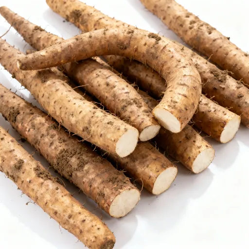 Chinese Yam