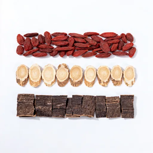 Kidney Strengthening